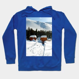 Canadian Rocky Mountains Icefields Parkway Canada Hoodie